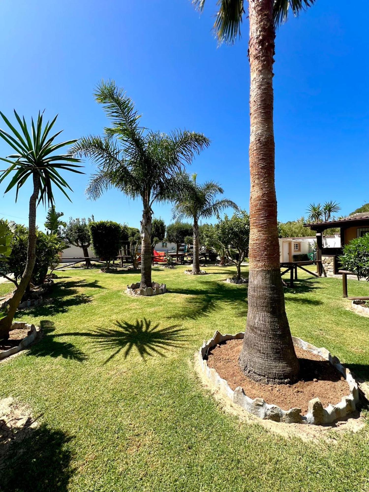 Kitecamp Tarifa Διαμέρισμα Εξωτερικό φωτογραφία